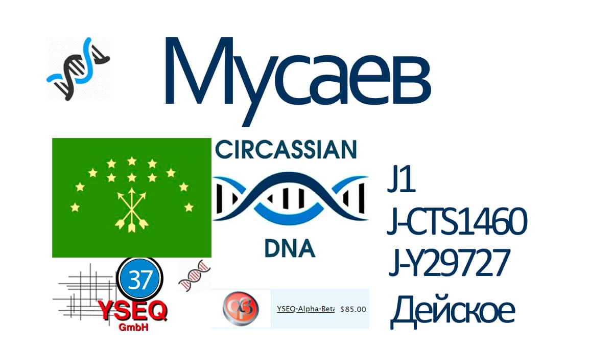 Мусаев