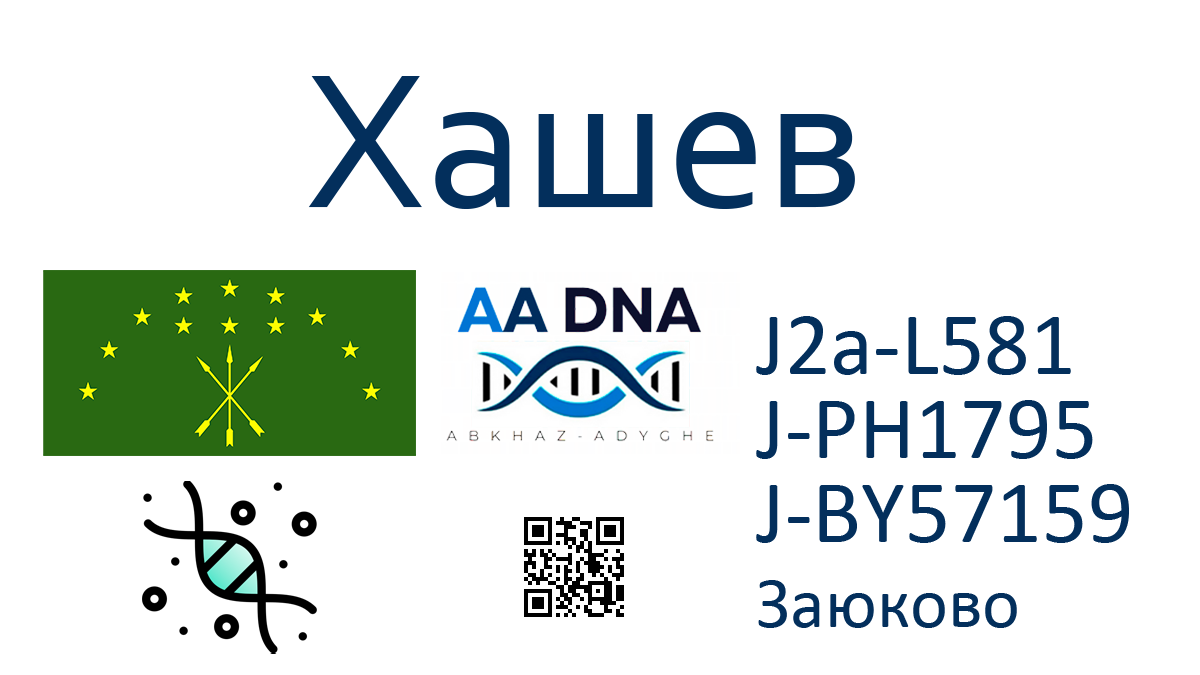 Хашев