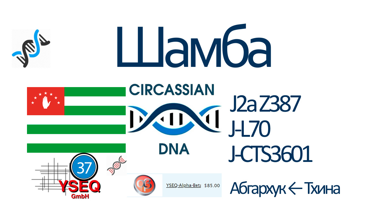 Шамба