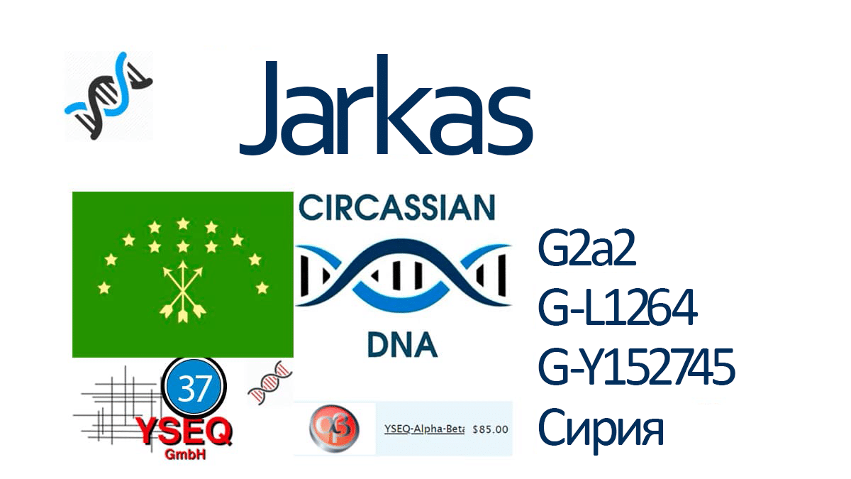 Jarkas