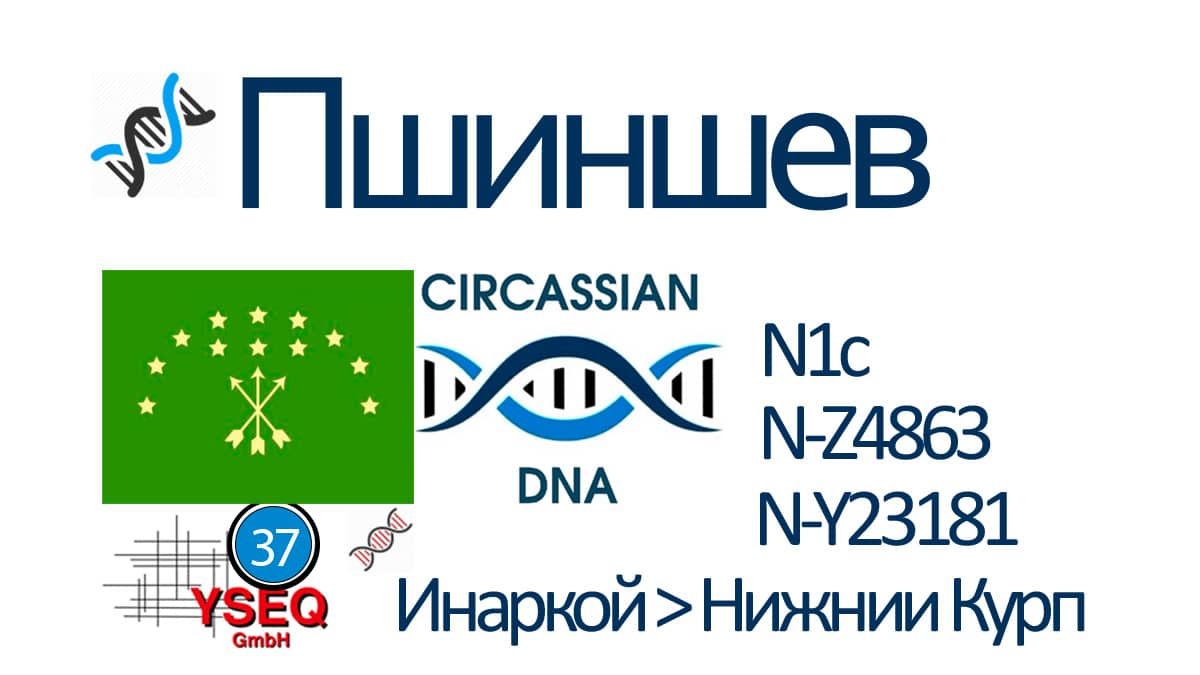 Пшиншев