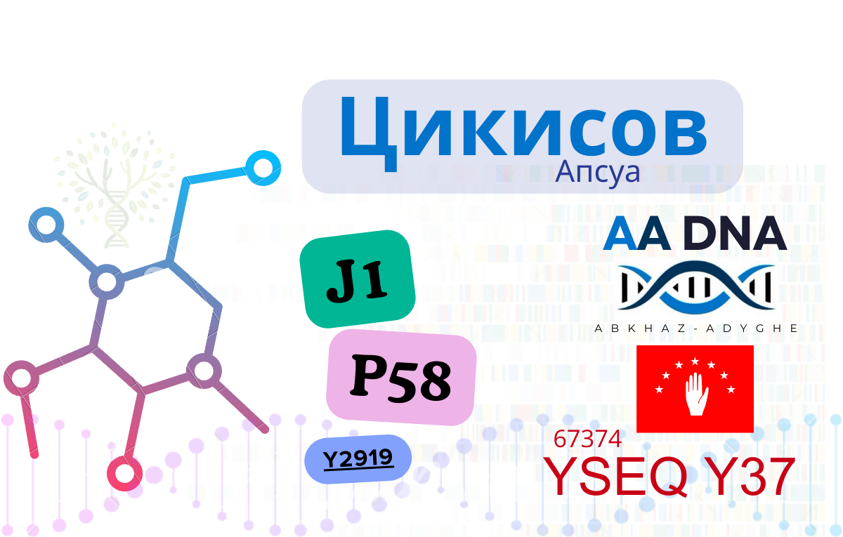 Цикисов
