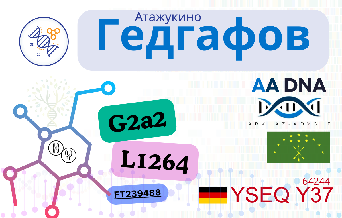 Гедгафов