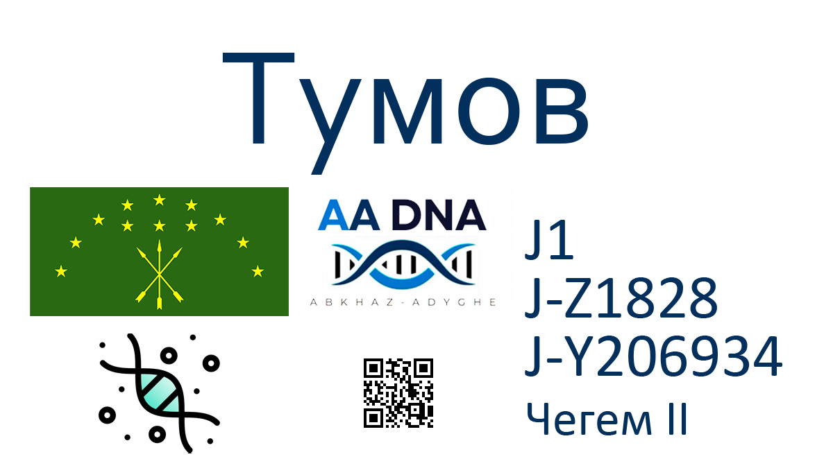 Тумов