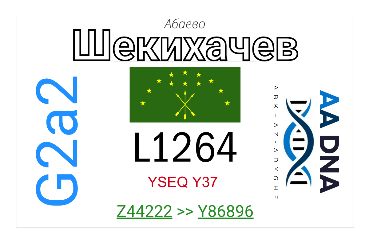 Шекихачев