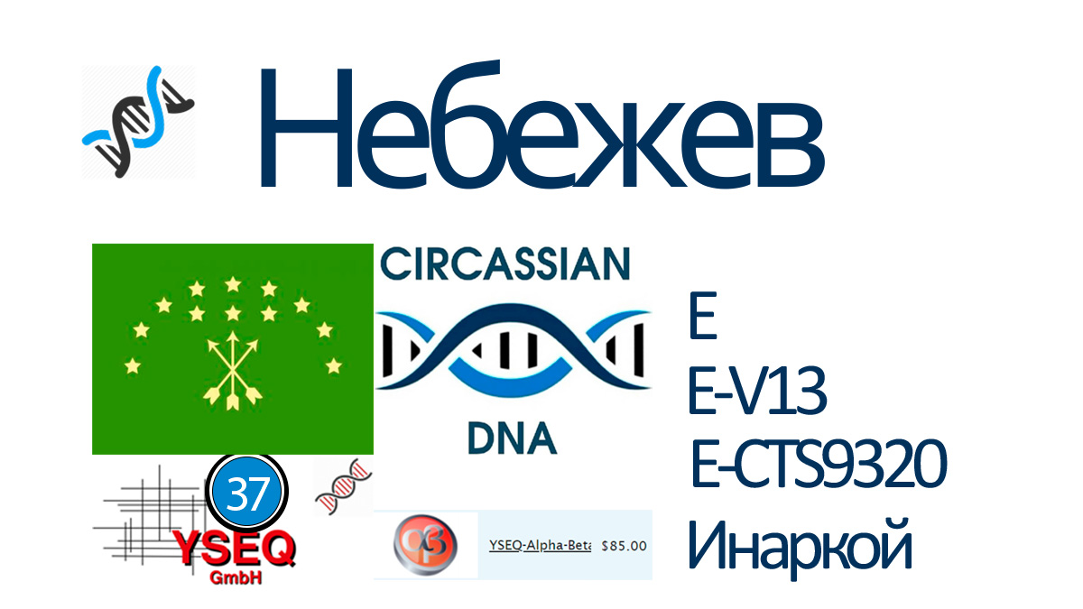 Небежев