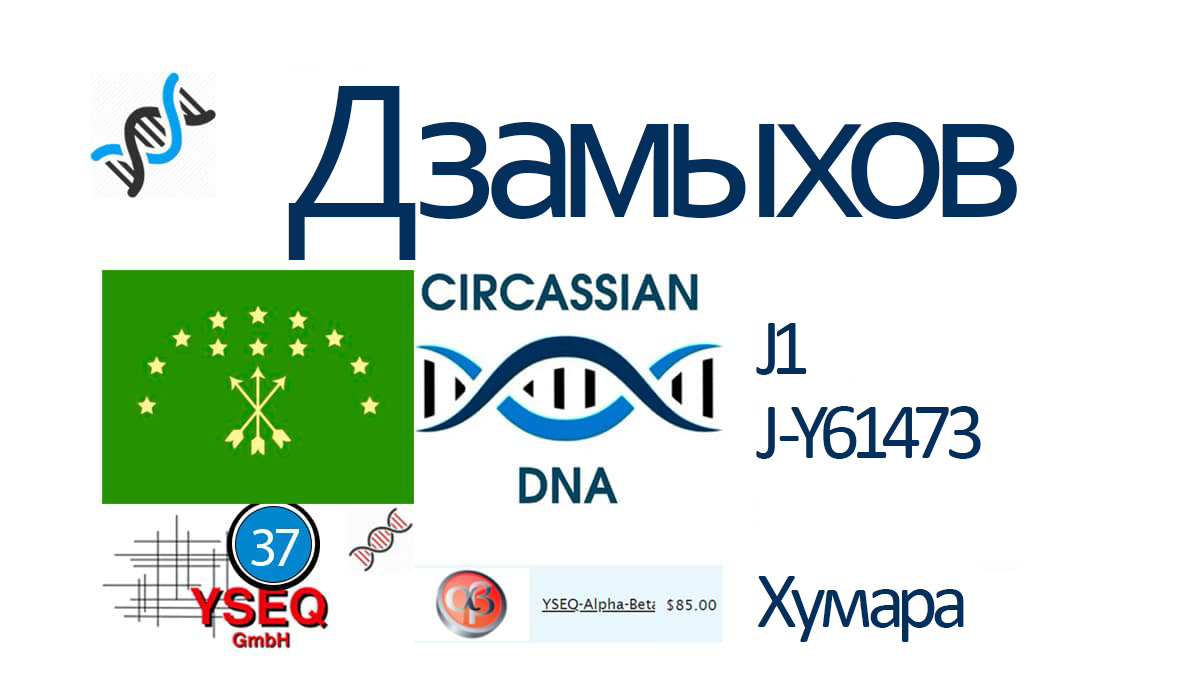 Дзамыхов