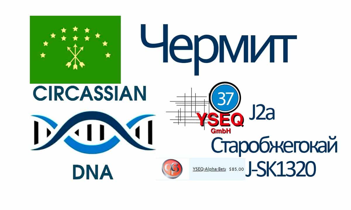 Чермит