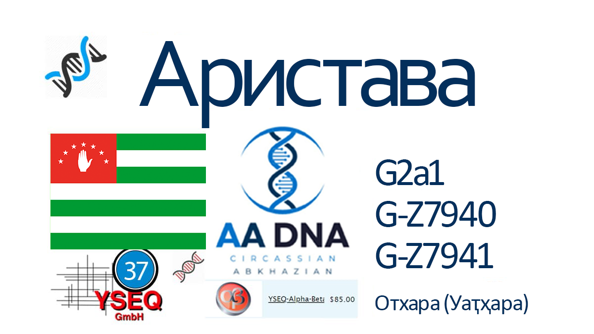Аристава