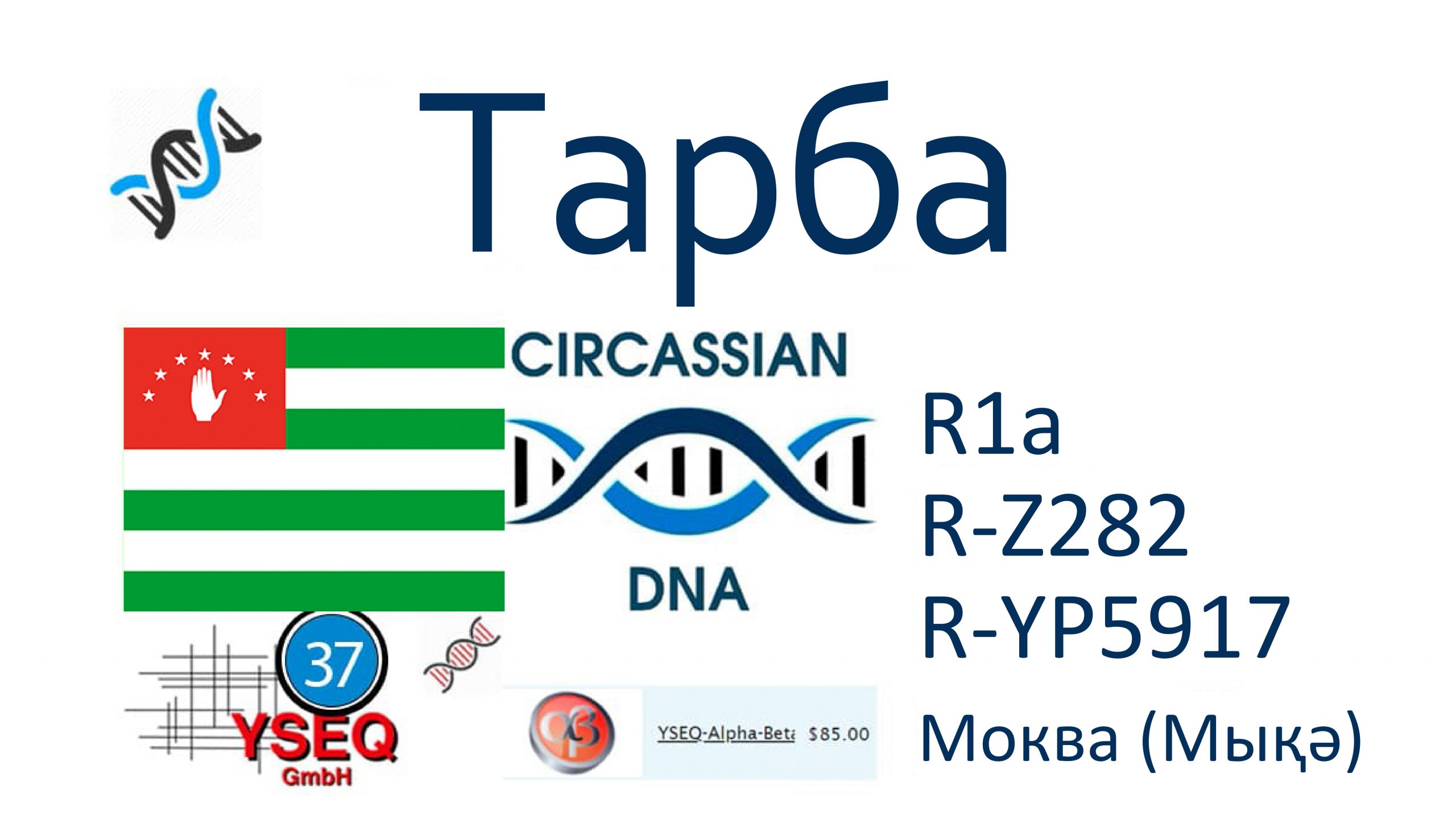 Тарба