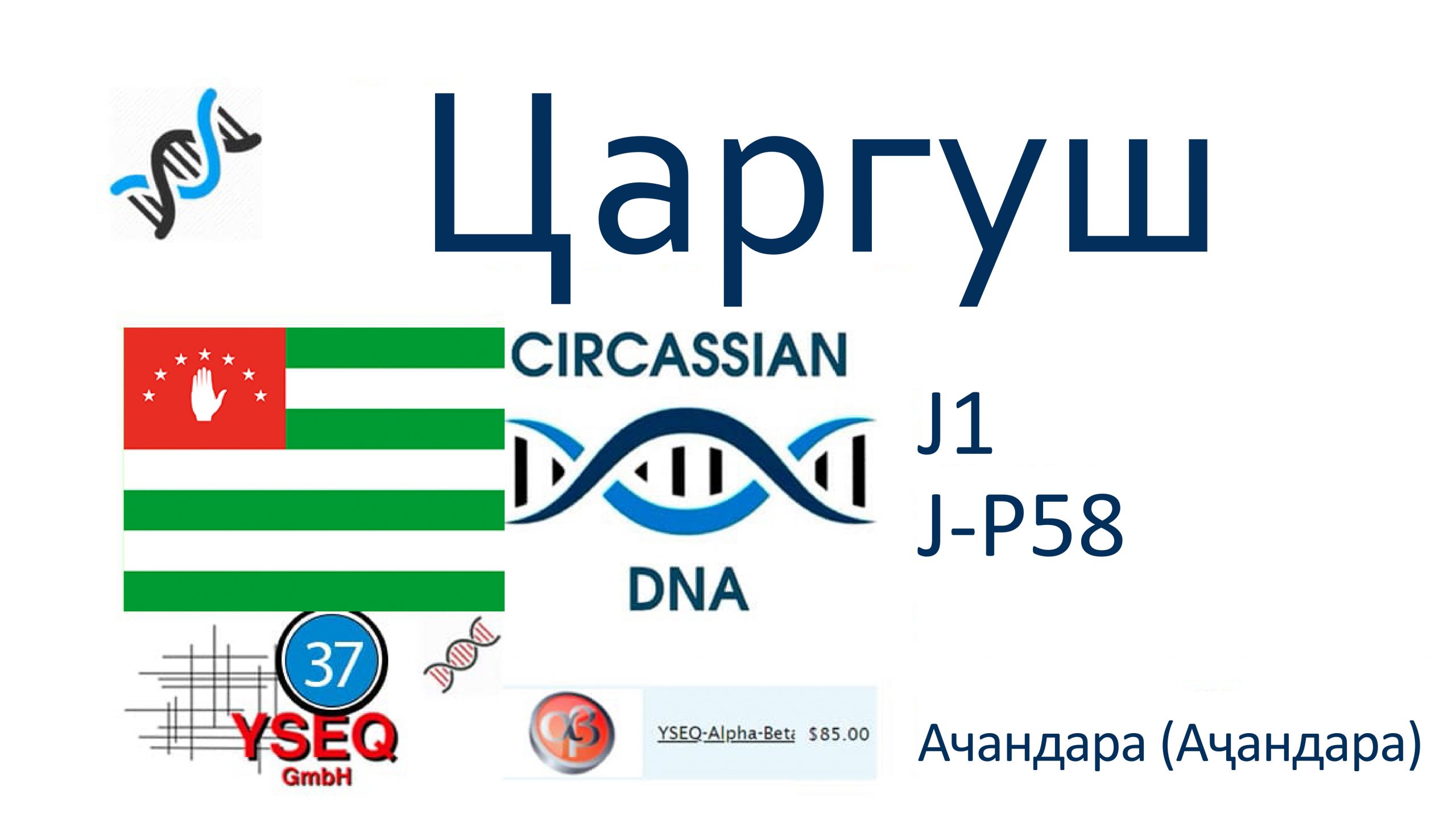 Царгуш