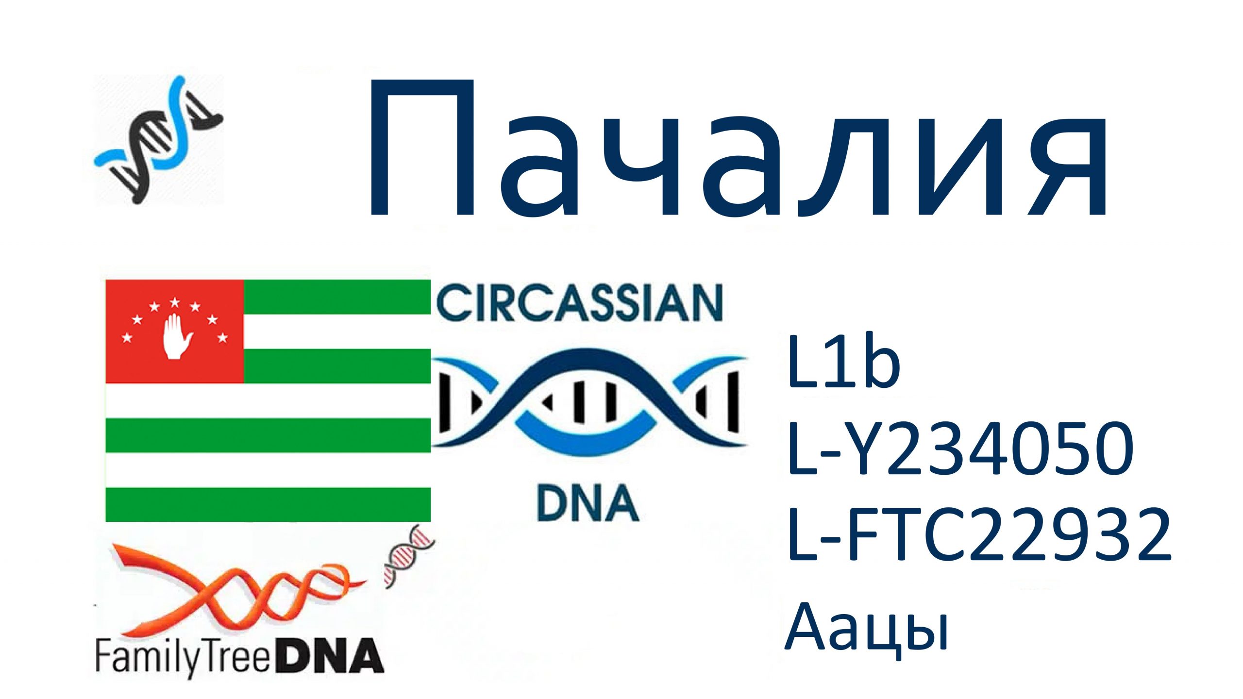 Пачалия