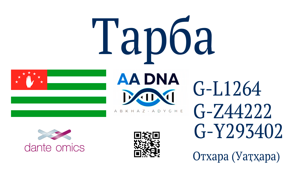 Тарба