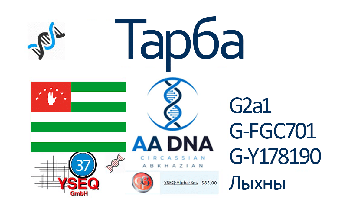 Тарба