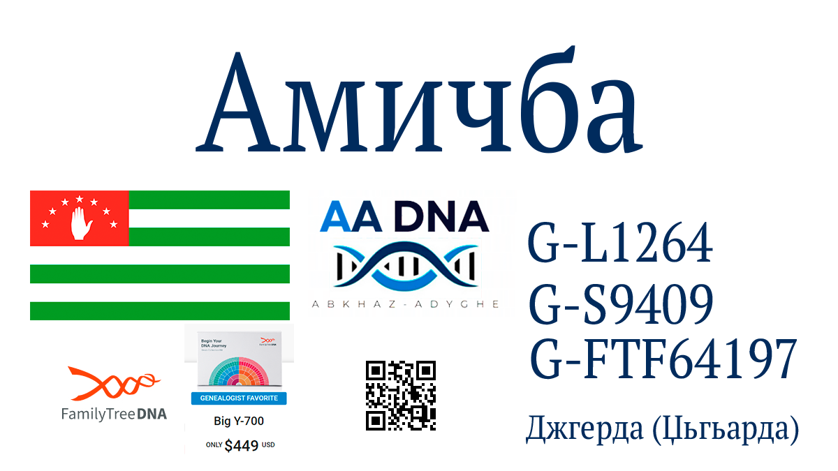 Амичба