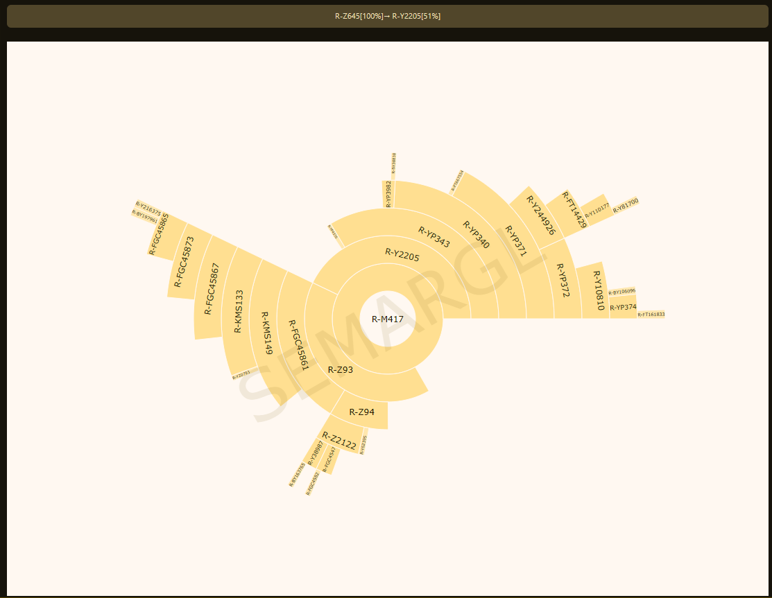Opera Снимок_2026-07-24_162515_predictor.ddns.net.png