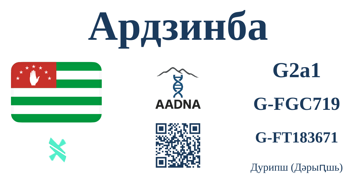 Превью результата Ардзинба