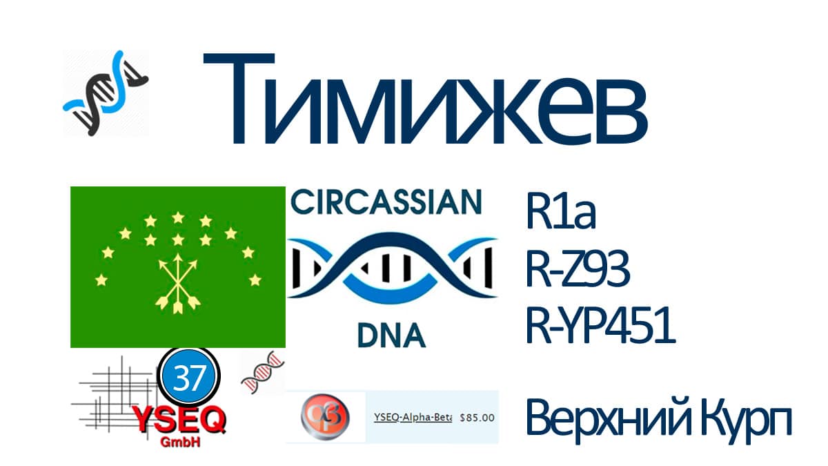 Тимижев
