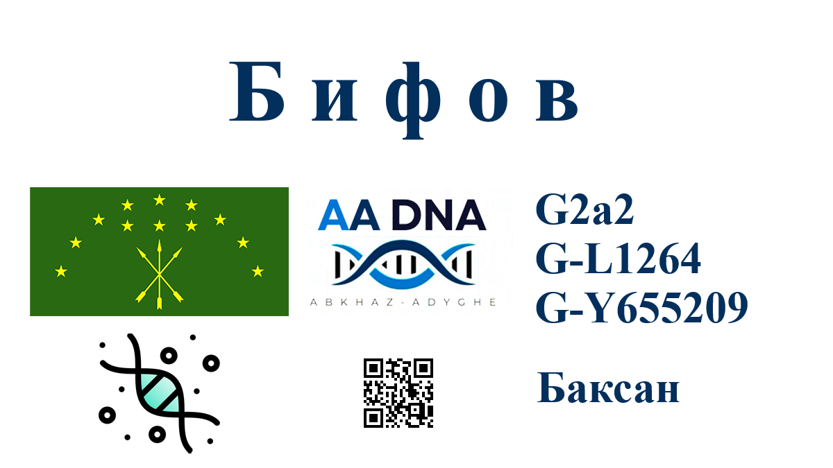 bifov
