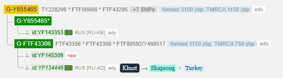 g y655465