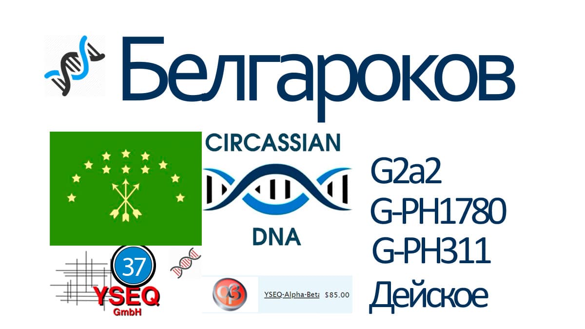 Белгароков