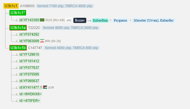 Бозиев 4 opera snimok 2026 03 27 161837 www.yfull .com