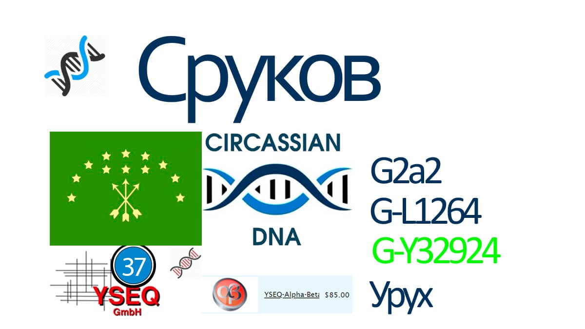 Абхазский днк проект