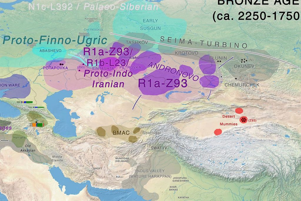 Хаджимба 7 9b026af7db1f577f41525881cfe1a270