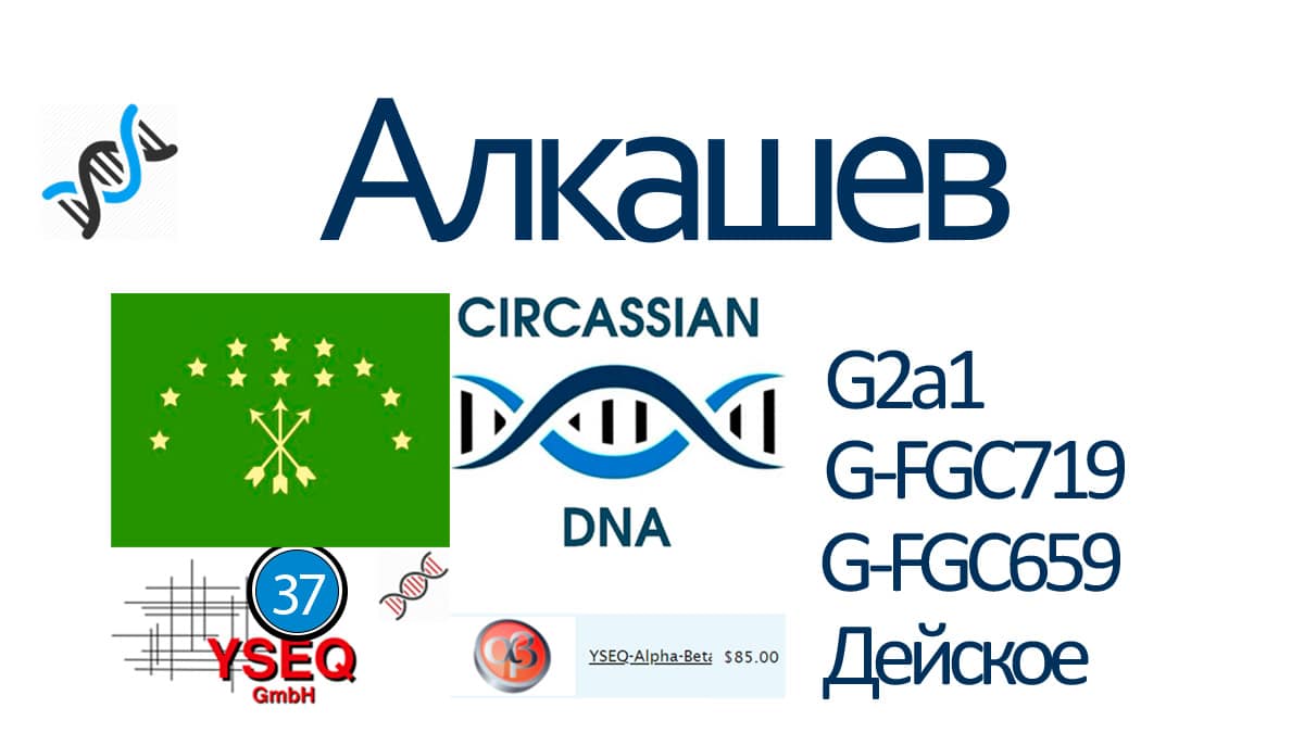 Алкашев