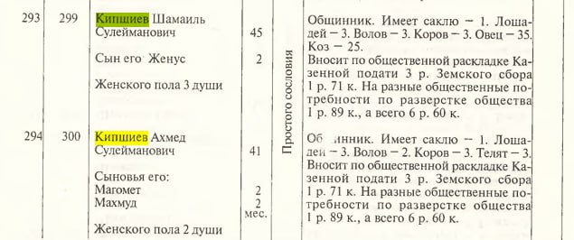 Кипшиев 2 image 278