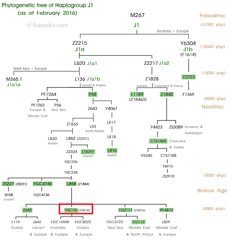 j1 tree