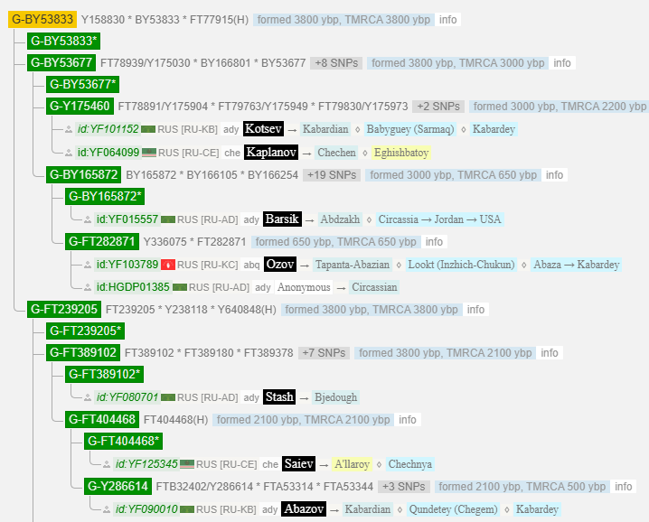 Гаижев 4 opera snimok 2025 11 24 224500 www.yfull .com