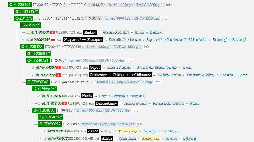 Гаижев 5 opera snimok 2025 11 24 224522 www.yfull .com