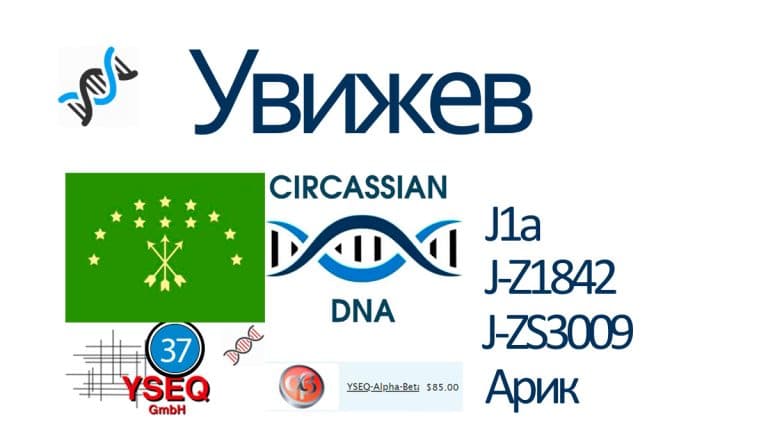 Днк проект грузин