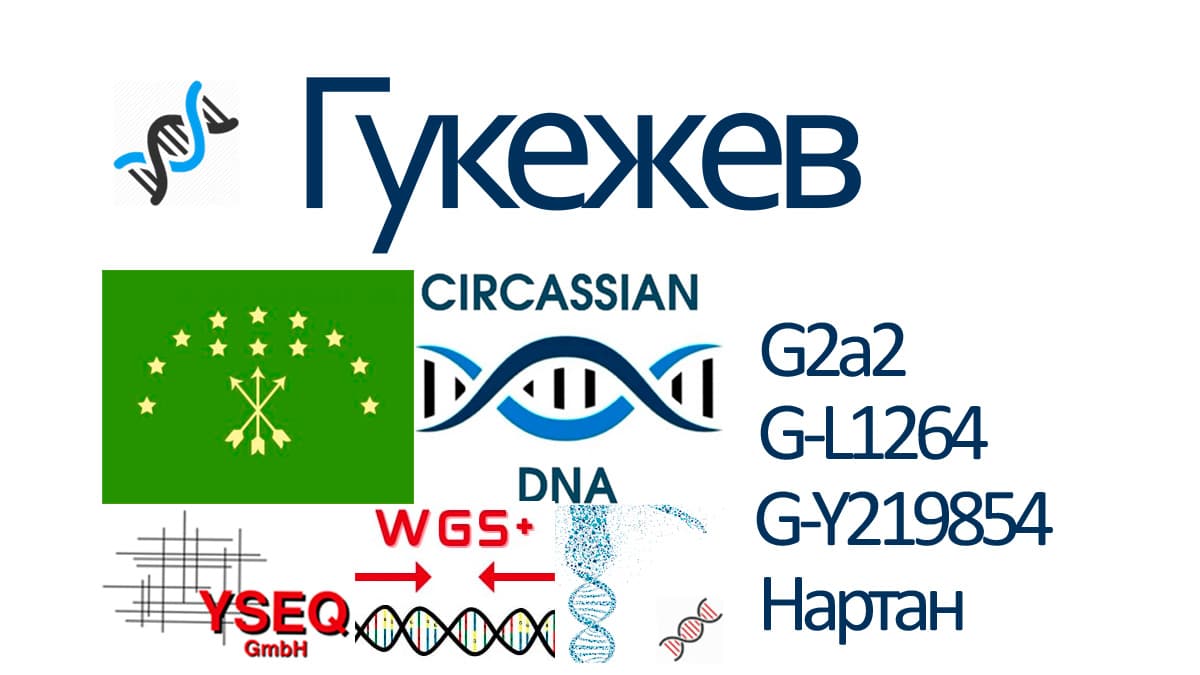 Абхазский днк проект