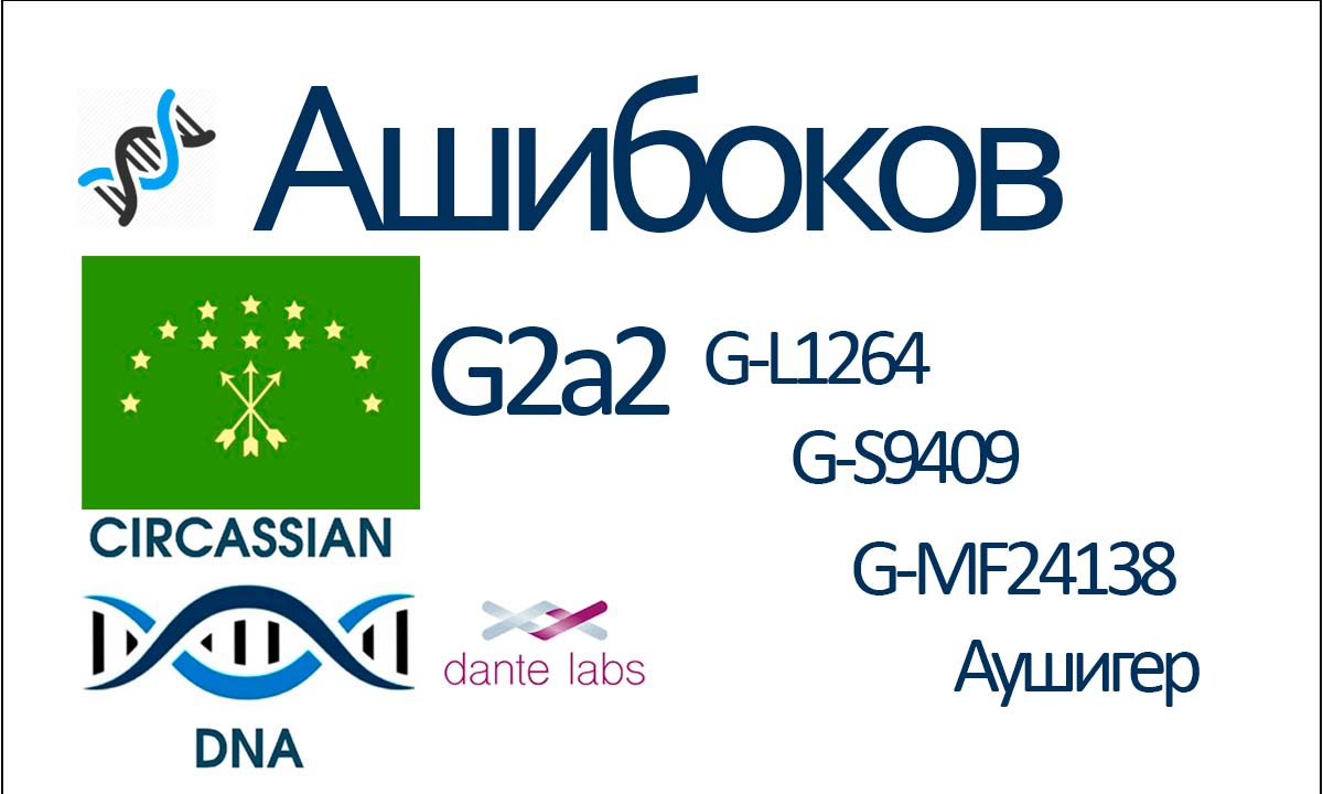 Ashibokov2