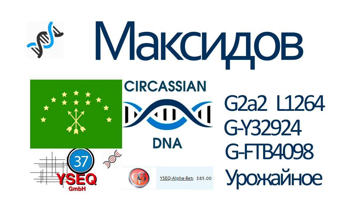 maksidov 2