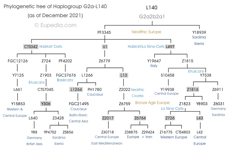 Philogenetic tree of haplogroup G2a-L140