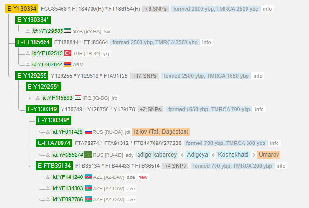 Умаров 11 e y130334