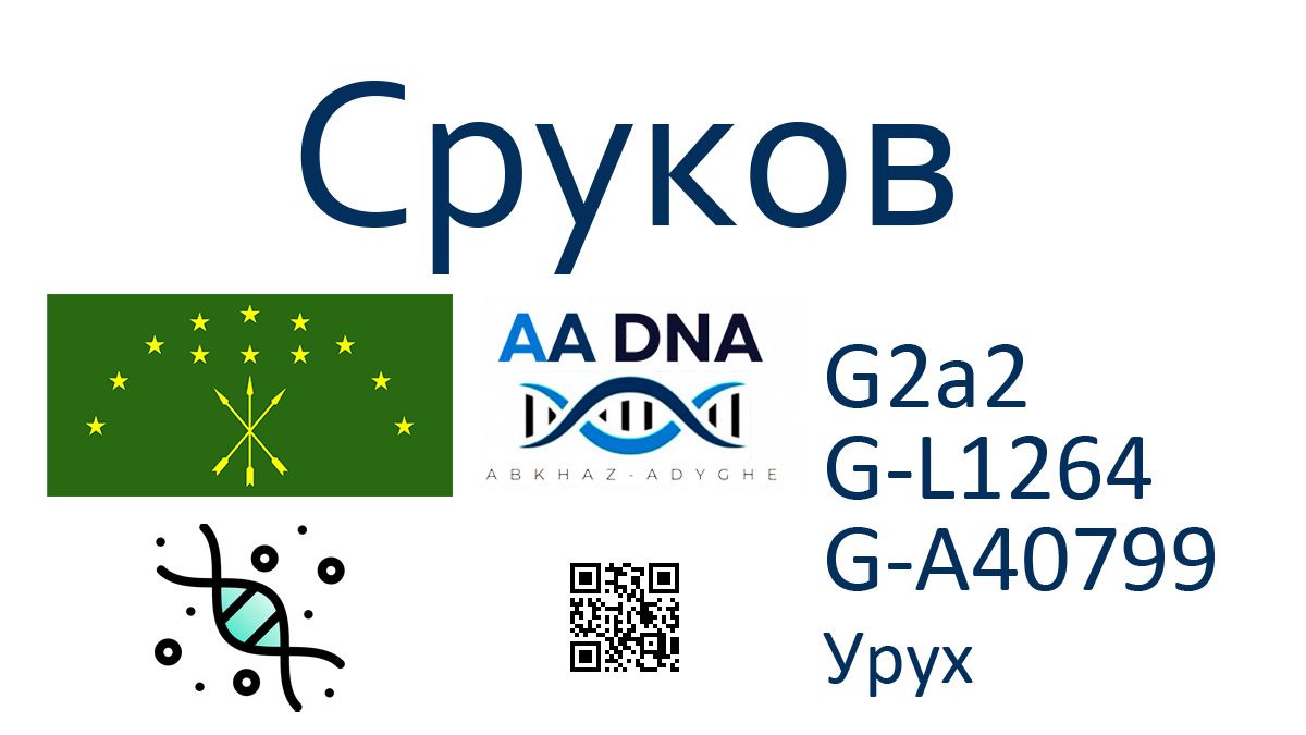 Сруков 1 kazanov