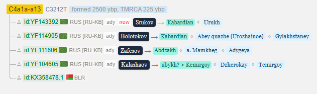 Сруков 8 opera snimok 2026 03 14 220801 www.yfull .com