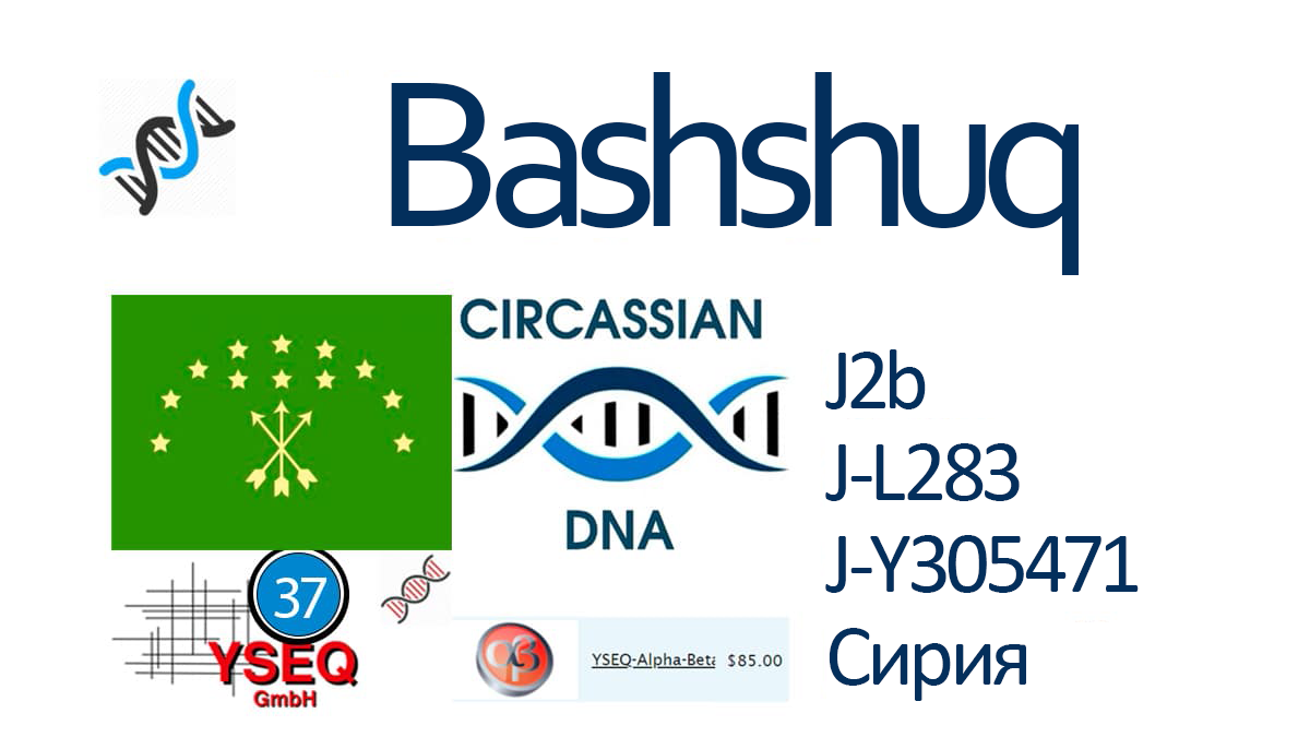 Bashshuq