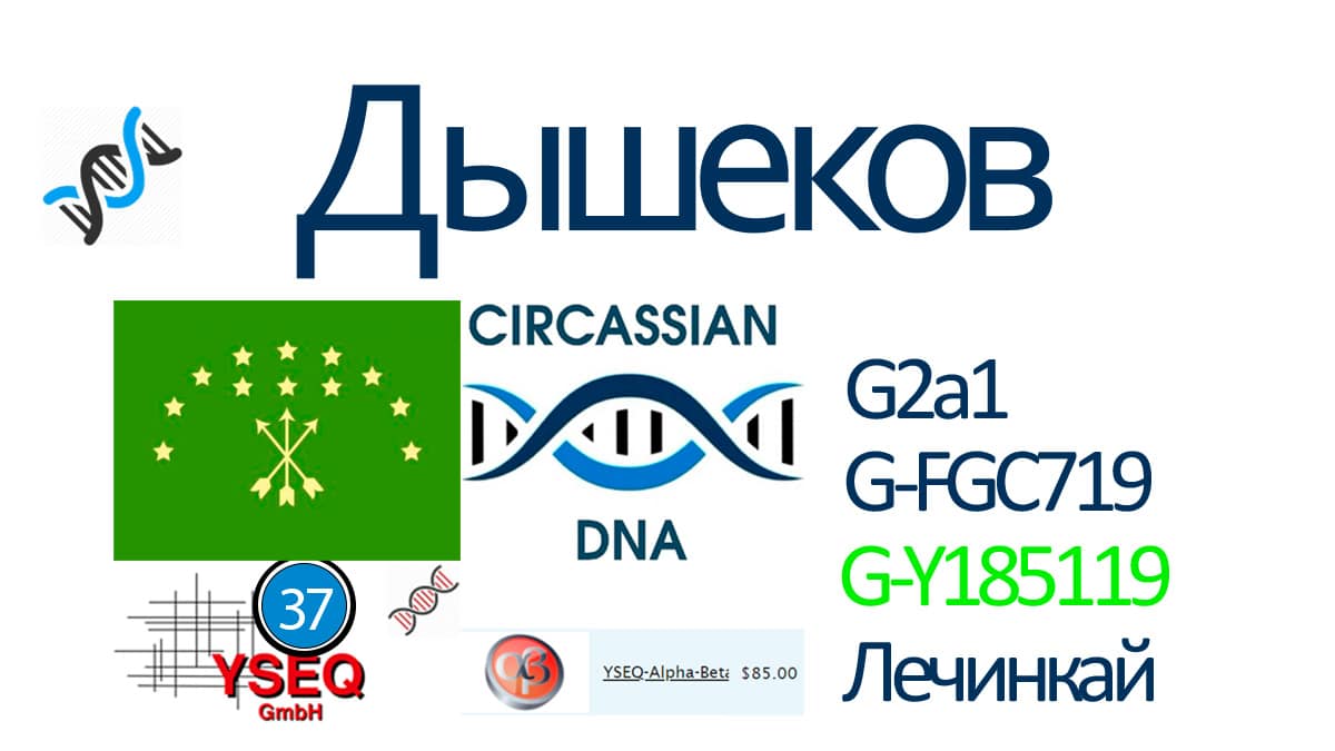 Абхазский днк проект