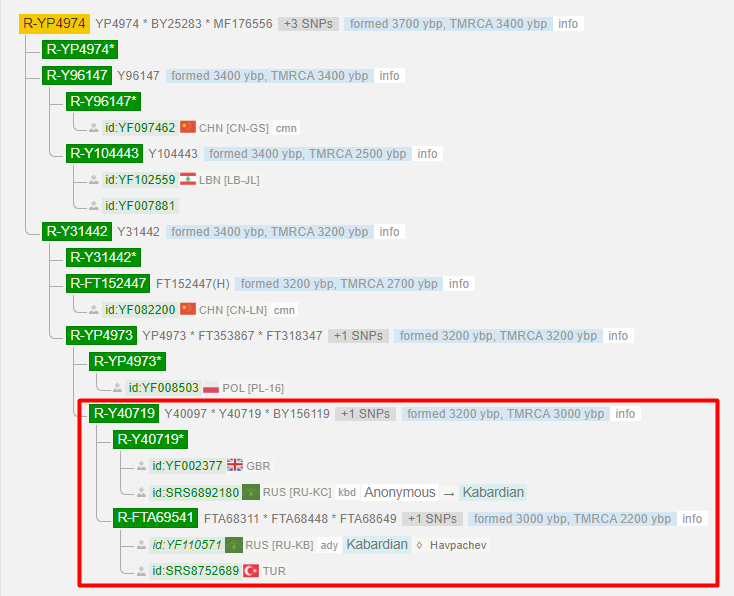 Хаджимба 2 image 5