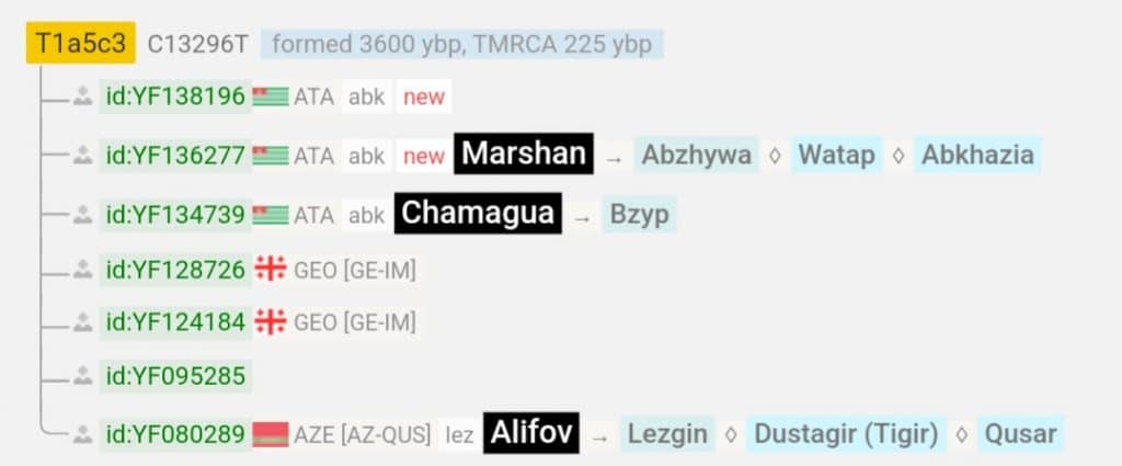 Ачба 7 img 20250705 112803