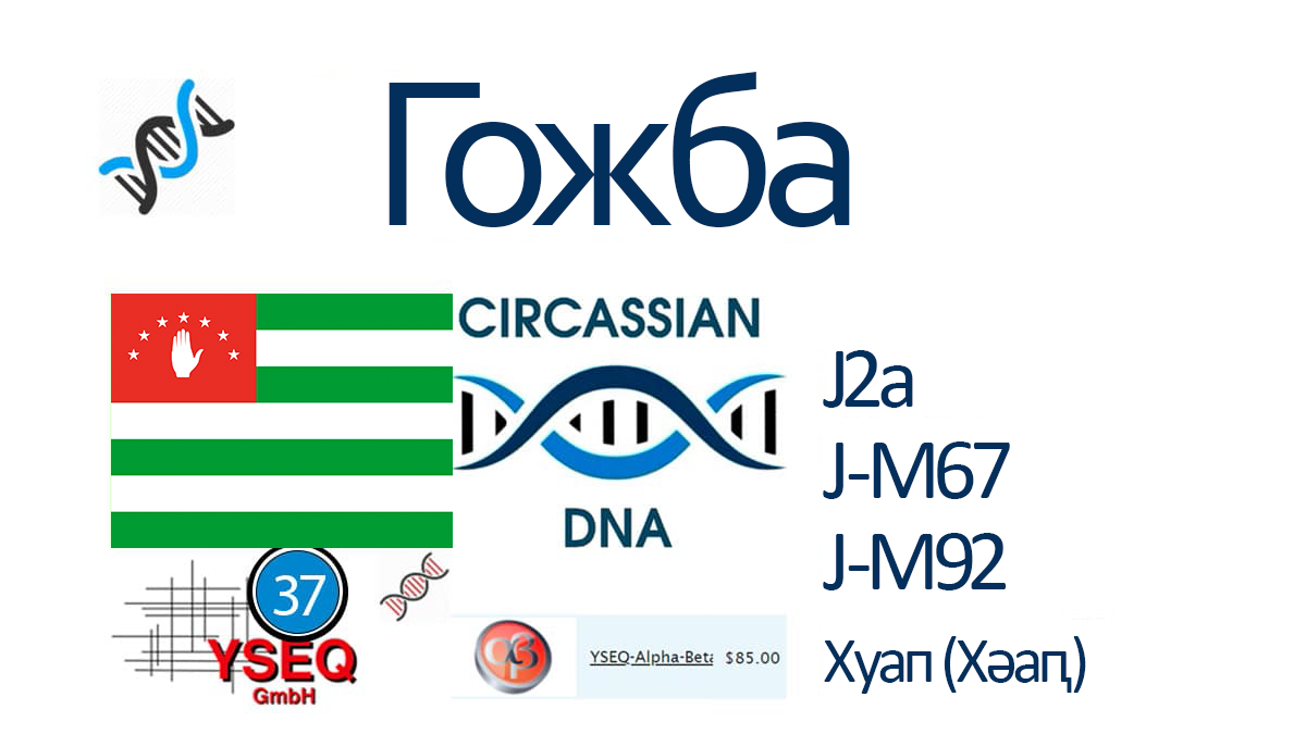 gozhba2