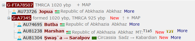 Маршан 6 image 71