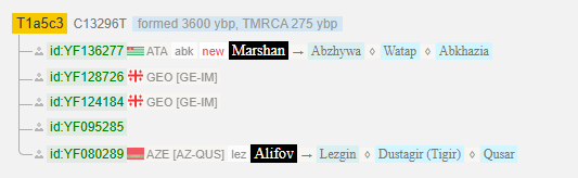 Маршан 7 image 72
