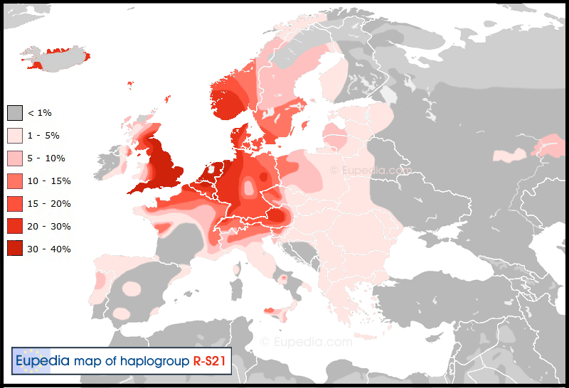 haplogroup r1b s21