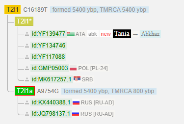 Тарба 6 image 101